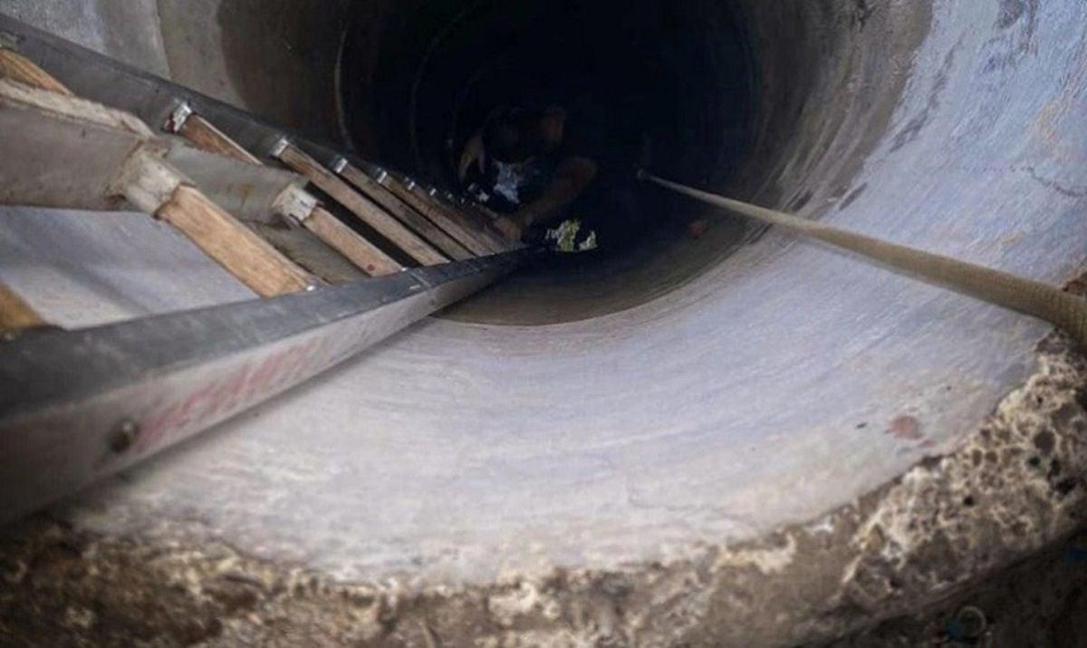 In Bukovina, a four-year-old boy tragically fell into a well and lost his life.