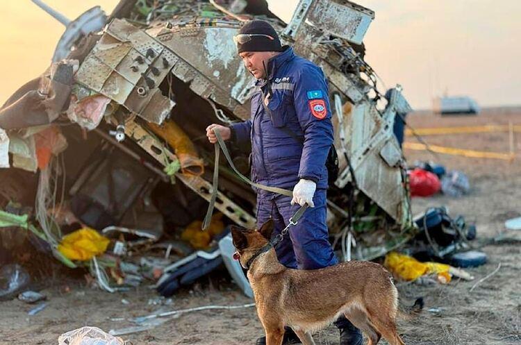 Азербайджанский самолет был сбит российской ракетой "Панцир-С", сообщает Reuters со ссылкой на источник в правительстве.