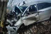 In the Mykolaiv region, a Ford veered off the road and crashed into a tree (photo).