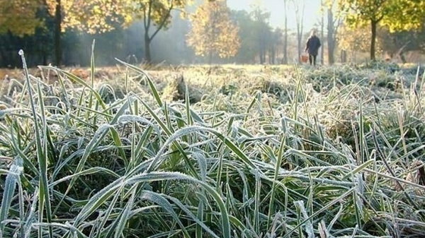 В Україні очікуються дощі та заморозки