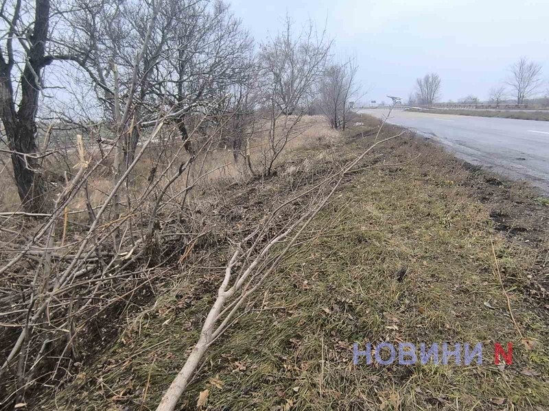 Под Николаевом две машины слетели с обледеневшей дороги в кювет: пострадал 8-летний ребенок